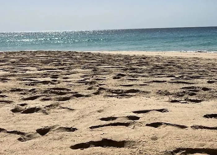Blue Ocean *